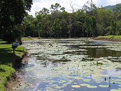 CairnsTC062 Centenary Lakes